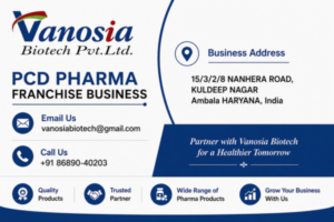 What is a PCD Pharma Franchise Business?