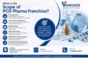 What is the Scope of PCD Pharma Franchise