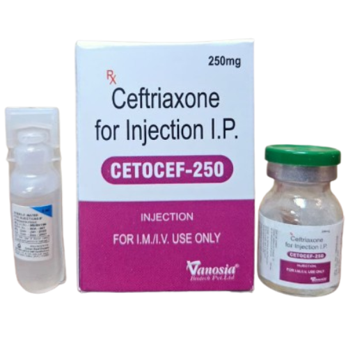 CETOCEF-250
